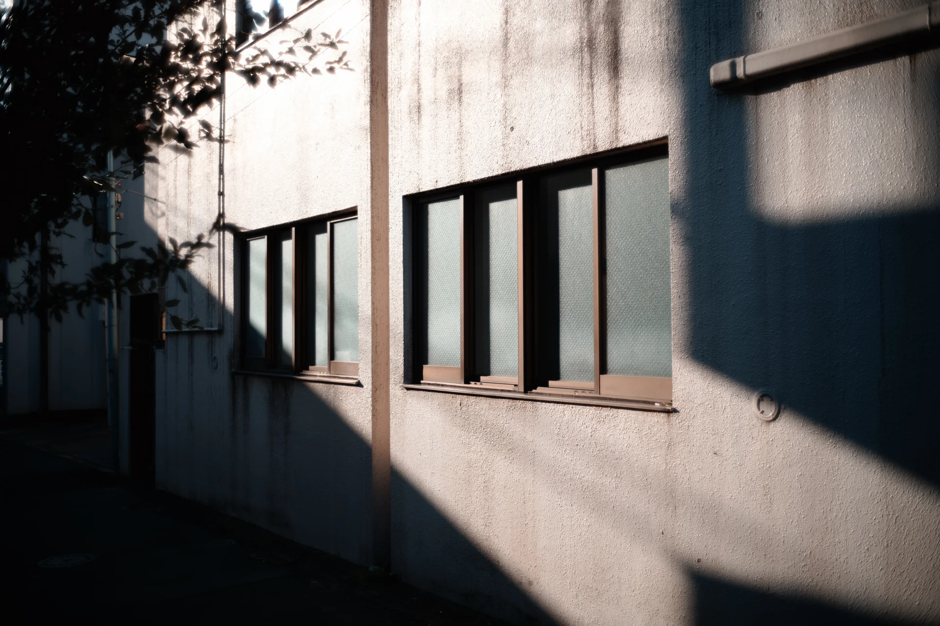SIGMA fp / Voigtlander NOKTON classic 35mm F1.4 II