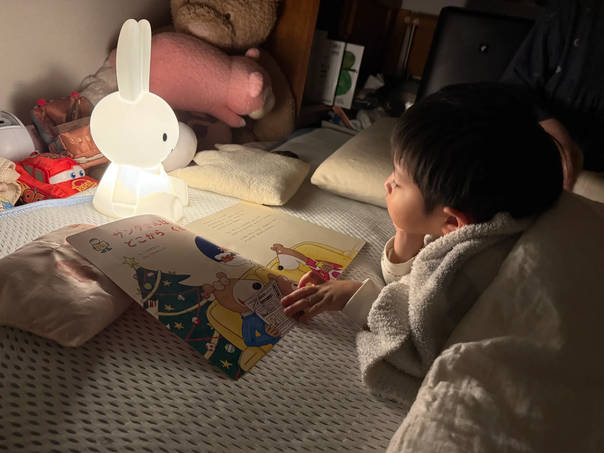 本を読むのにハマってる息子の様子